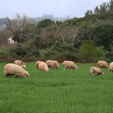 Casa Verodes Hébergement de vacances